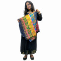 Georgette Yoke Pleated Dress with Glass Work and Pakistani Dupatta Set