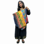 Georgette Yoke Pleated Dress with Glass Work and Pakistani Dupatta Set
