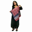 Georgette Yoke Pleated Dress with Glass Work and Pakistani Dupatta Set